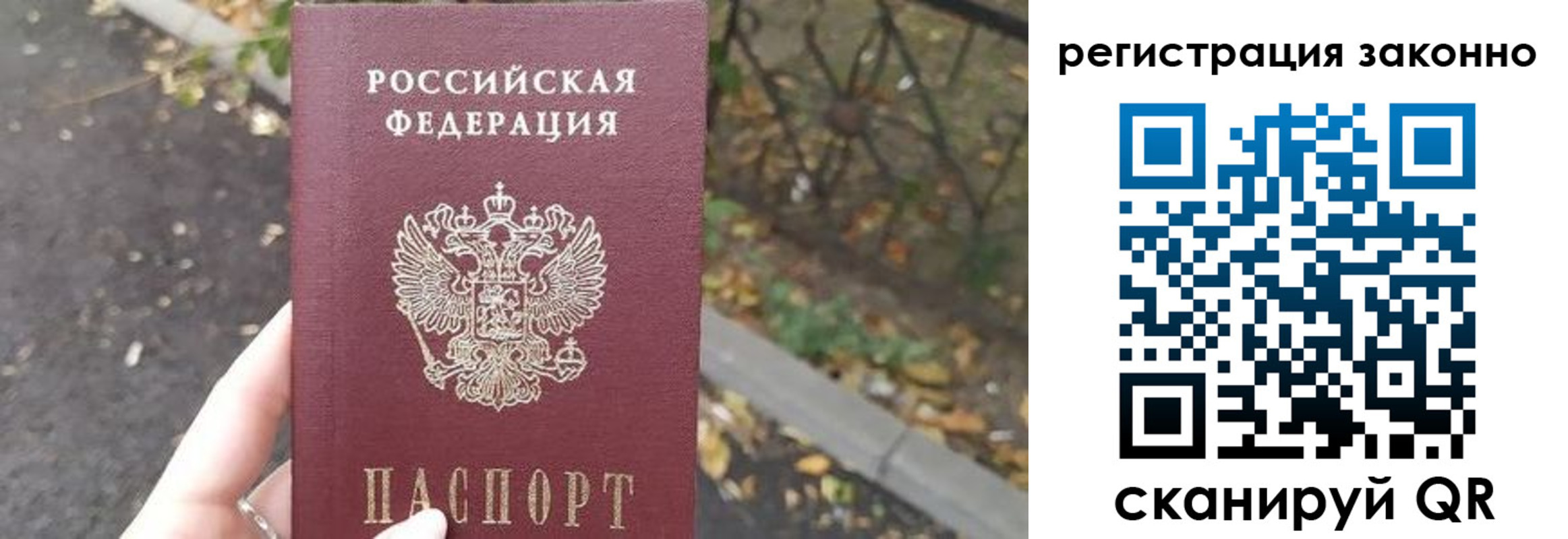 регистрация в Покрове